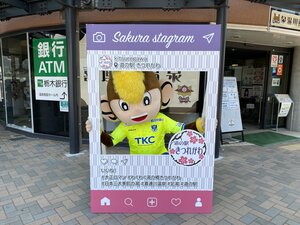 ⑤.jpg