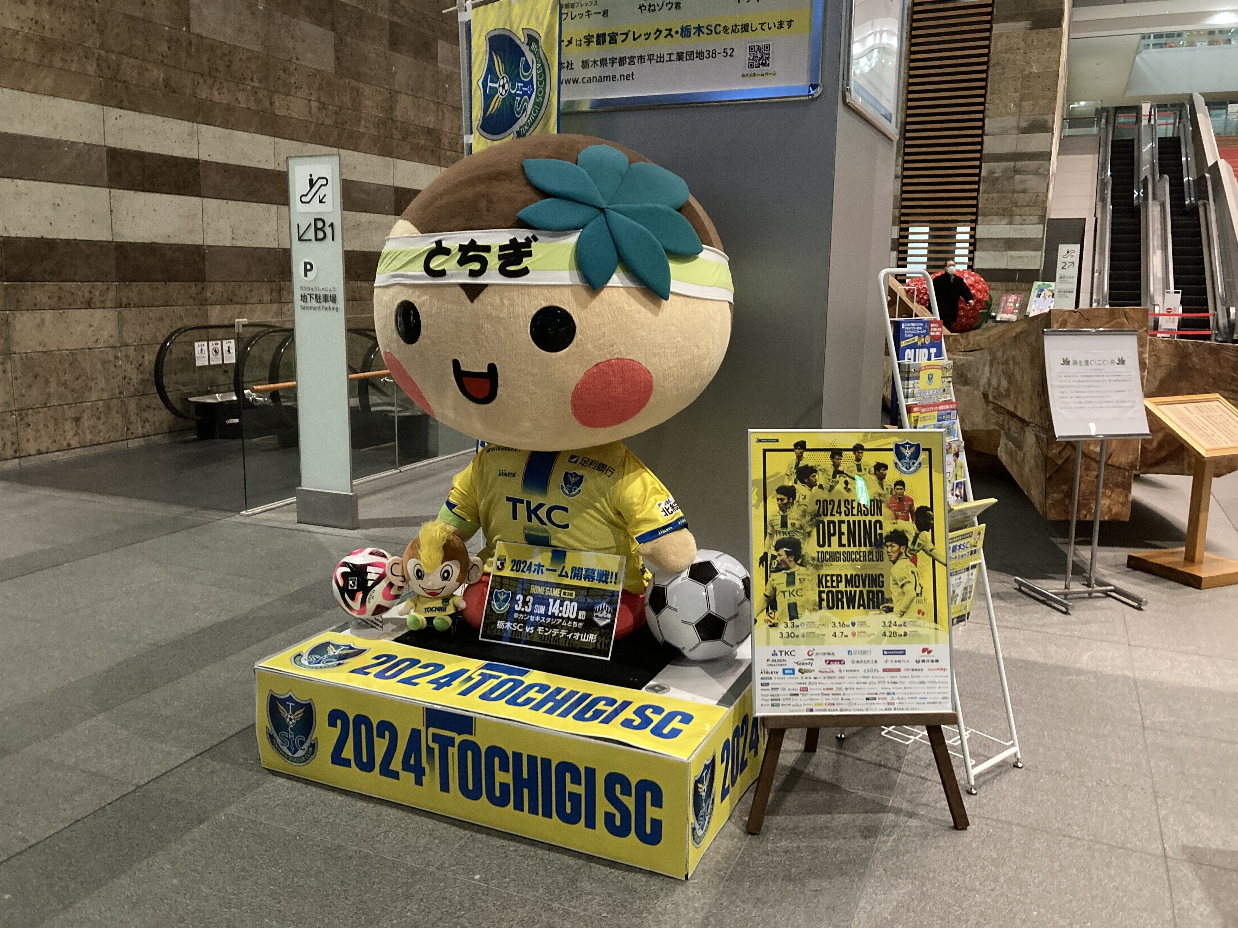 栃木を黄色に染めよう！」栃木SCホーム開幕戦に向け