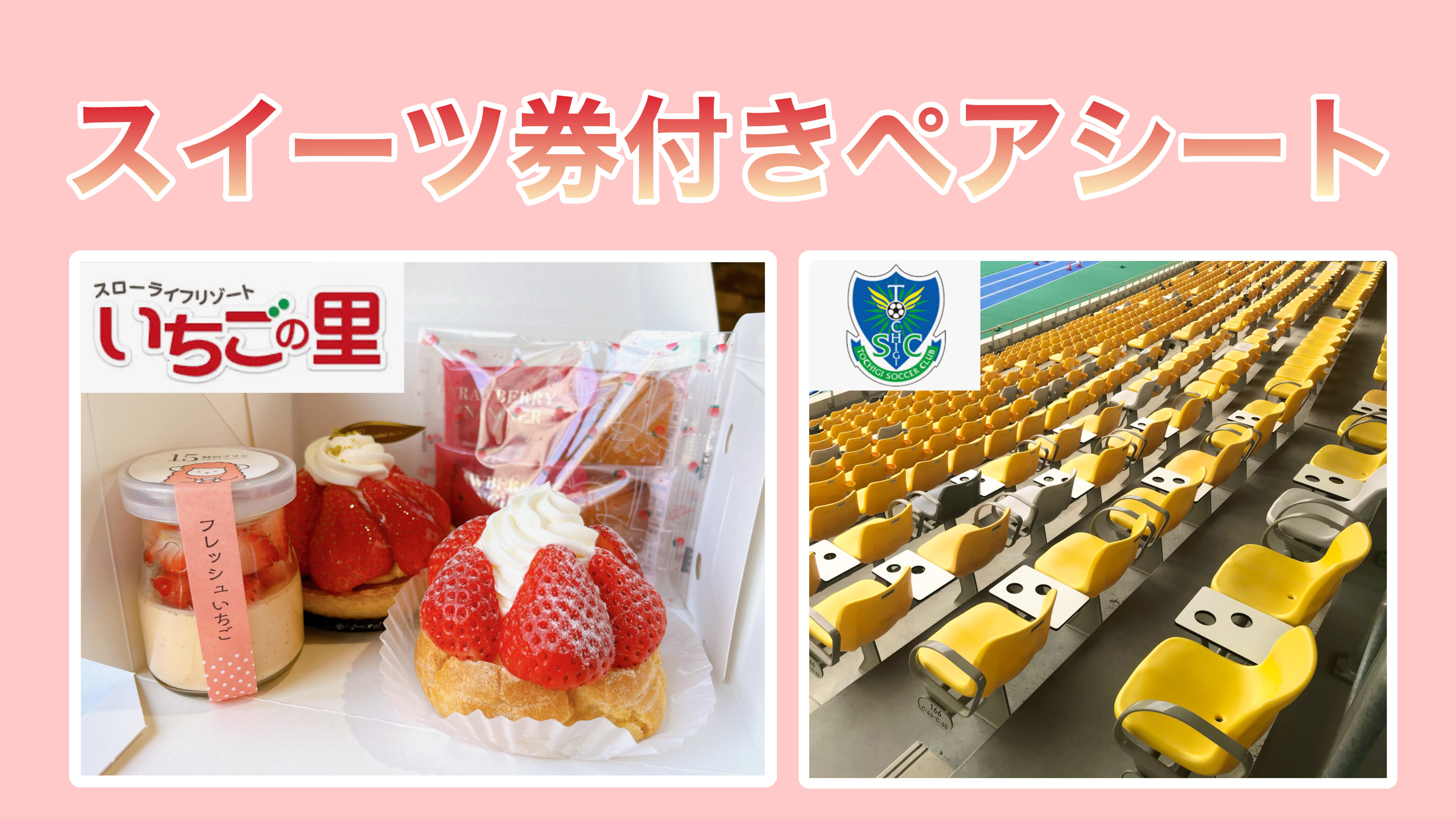 Free!　【希少】真琴　韓国限定ペアチケ台紙 Fête de la Musique Mignon Vol.13 配信アーカイブ のチケット購入