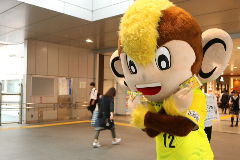 本日はトッキーも参加し、サポーターの皆さんとフロントスタッフと共に告知活動を行いました！