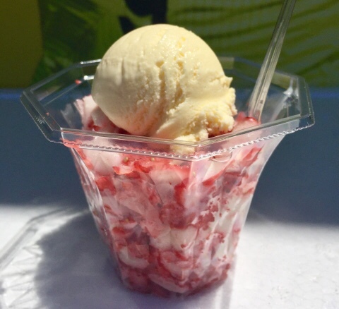 【とちおとめけずり】
栃木県と言えば『とちおとめ』。とちおとめを急速冷凍し、ふんだんに削ってみました。上には濃厚バニラアイスが。バニラの甘さと、いちごの酸味がたまらないスイーツです。少数限定ですので、お早目にどうぞ。
■価格：500円
■販売場所：18diners(ファンエリア)