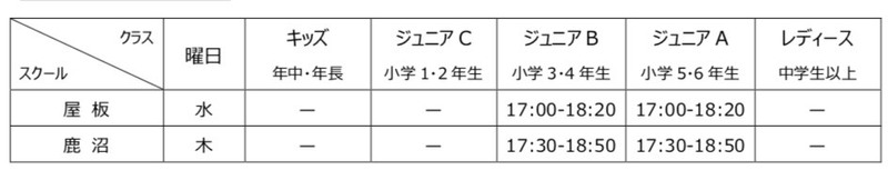 ※スペシャルクラスはセレクションに合格した選手のみのクラスとなります。
※追加者は退会者が出た場合のみ、当クラブが推薦したスクール生の中から選考します。


◆会費
＜共通料金＞