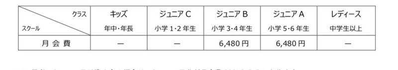 ※備考:2コース目以降入会の場合は、2コース目分が月会費30%OFFとなります。※割引に関しましては、原則として低料金の月会費からの割引となります。