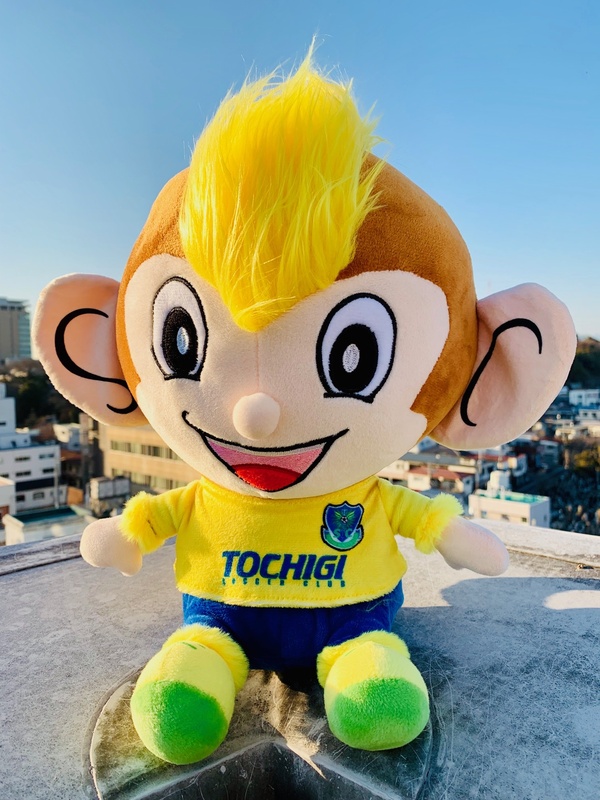 【NEWトッキーぬいぐるみ】
待望のトッキーぬいぐるみです‼
大きな頭がキュートなトッキーぬいぐるみ。
モヒカンはリアルトッキーを忠実に再現した毛質となっており、しっぽも可愛く仕上がっております!
■サイズ:身長 約35センチ(モヒカン含む)、頭囲 約60センチ、胴囲 約36センチ
■価格:3,996円■販売場所:ファンエリアグッズ売店、ゴール裏グッズ売店