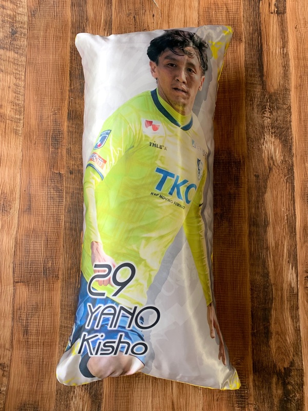 ↑クッションを入れた状態